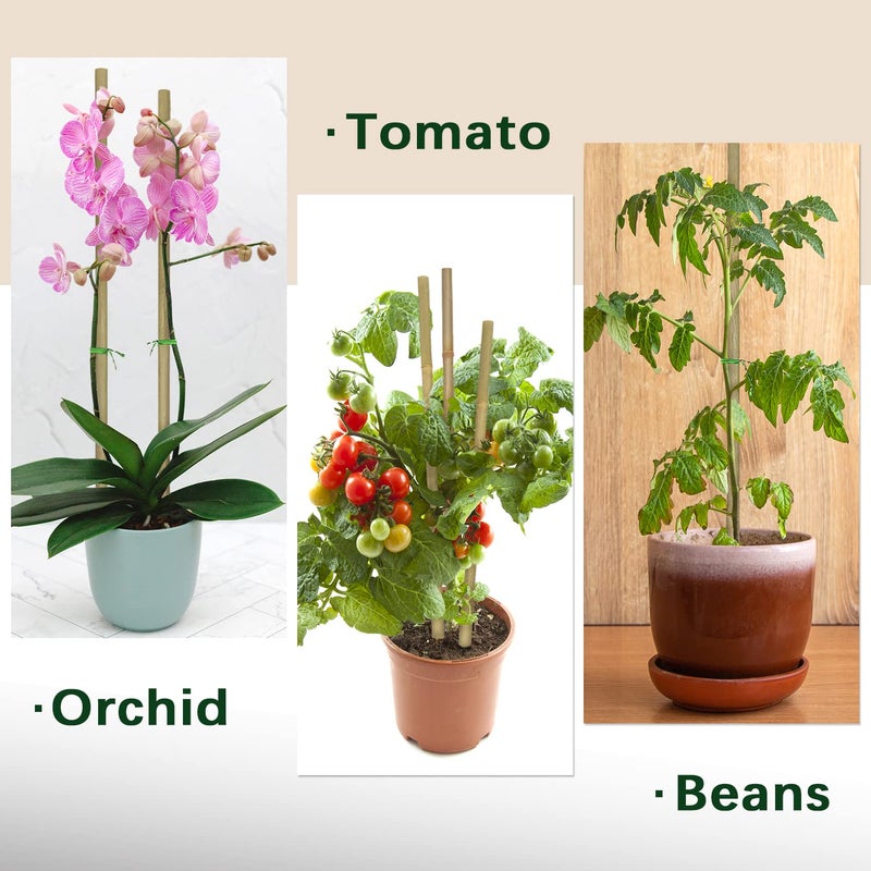 BOVITRO Plant Stakes,18 Inches Natural Garden Bamboo Sticks,BOVITRO 20Pcs Plant Support Stakes for Tomatoes,Beans,Vegetable and Potted Plants - Image 3
