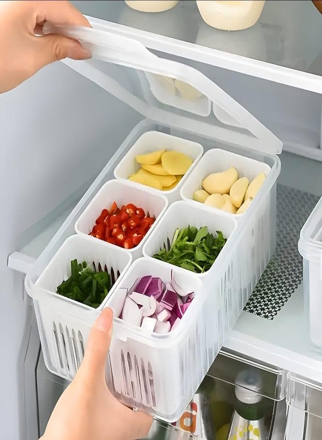RANIC Plastic Fridge Storage Boxes Freezer Storage Containers, Container For Kitchen Storage Set, Storage In Kitchen, Vegetable Storage,Refrigerator Food Box (6 Grid) - Image 1