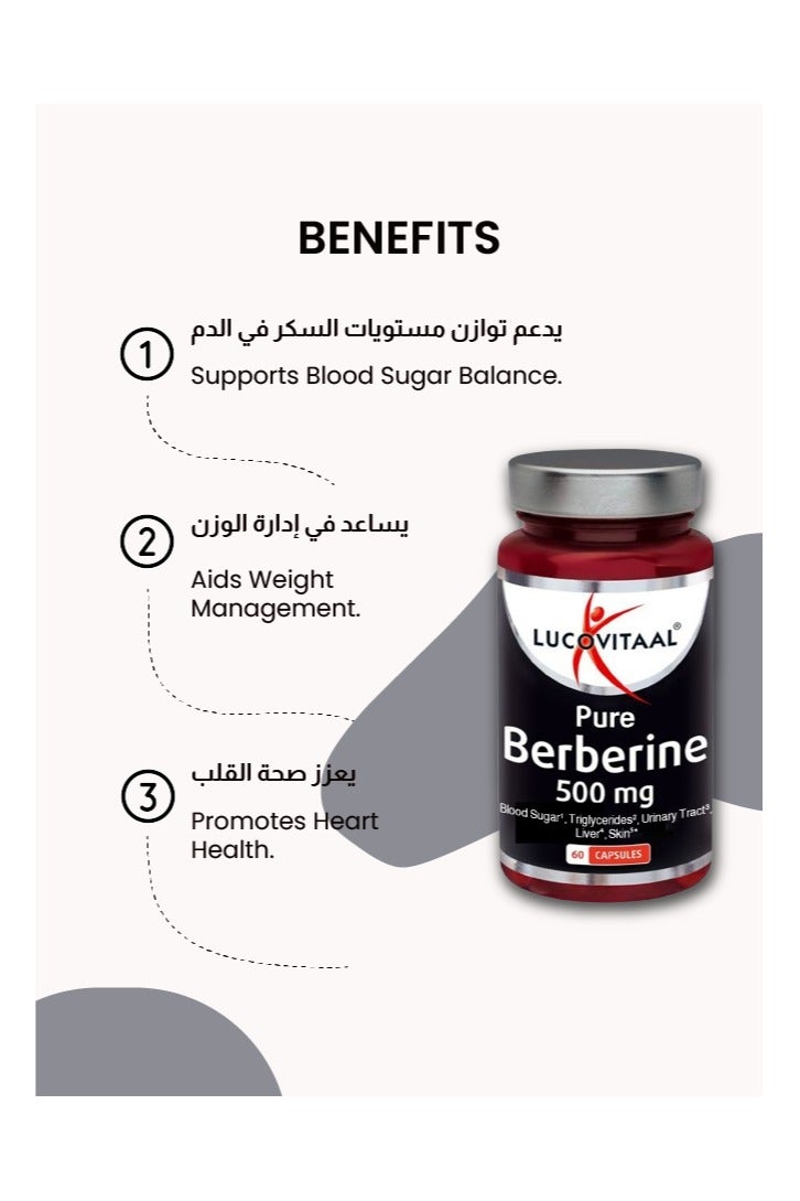 لوكوفيتال بور بربرين 500 مجم - Image 3