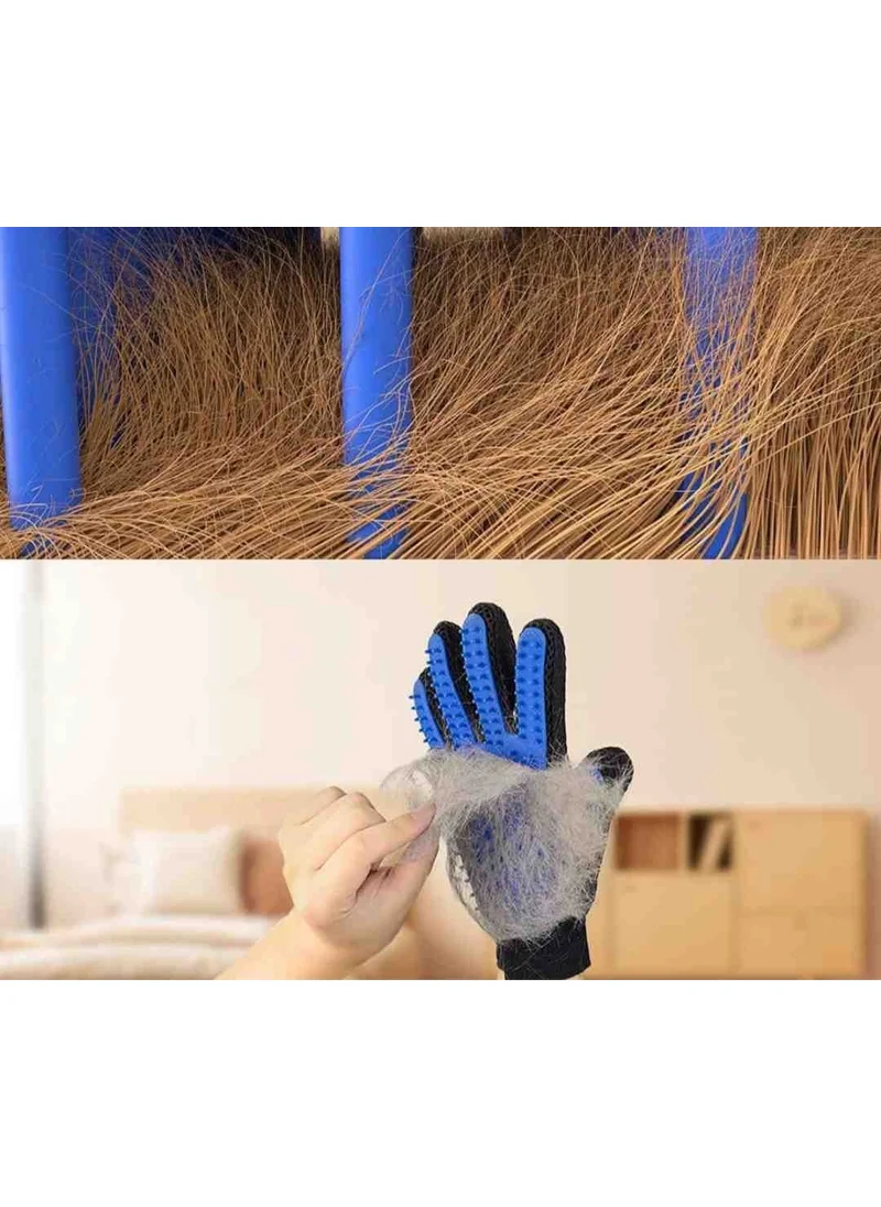 Sogex Cat Dog Hair Collecting Scratching Grooming Glove Pet Hair Collecting
