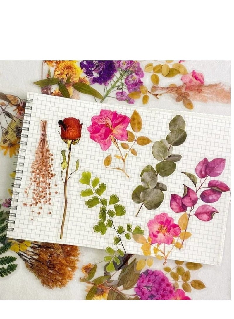 12 قطعة ملصقات أعشاب روز شفافة عتيقة لأجهزة الكمبيوتر المحمول Ipad سجل القصاصات والقرطاسية ملصق لوازم الحرف مادة سكرابوكينغ - Image 2