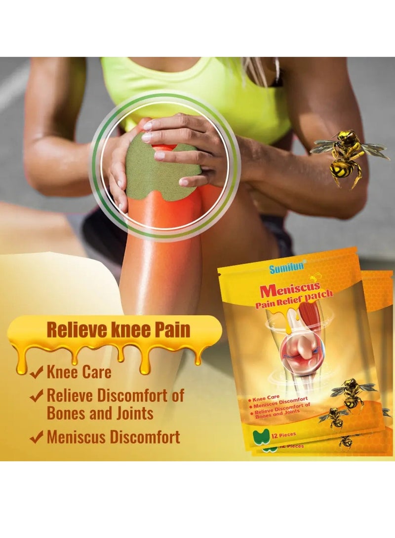 Sumifun 12 قطعة لاصقة تخفيف ألم الغضروف تخفيف ألم المفاصل رعاية الركبة لاصقة سم النحل لعلاج رعاية المفاصل الرعاية الصحية لاصقة سم النحل لتخفيف الألم - Image 2