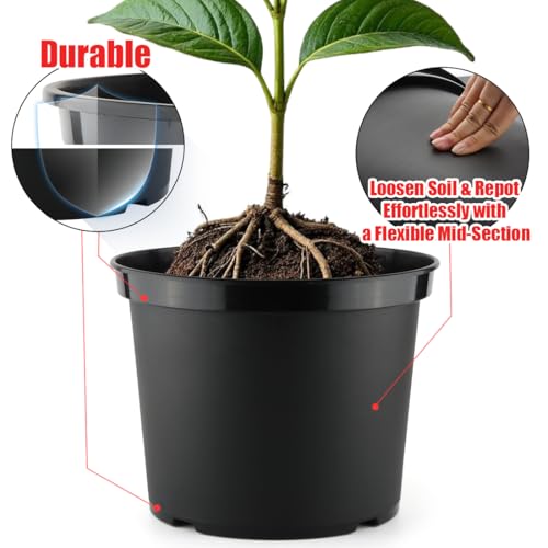 RooTrimmer 5 Gallon 12 Inch Plastic Nursery Pots, Plant Containers with Drainage Holes, Round Sturdy Garden Planters for Indoor/Outdoor Greenery, Gardening Gifts for Women (5-Pack, Black) - Image 3