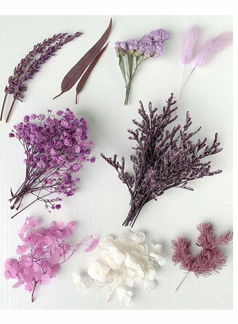 Zikra نبات هيرباريوم من زهور الأوراق المجففة الحقيقية لصنع المجوهرات الحرفية، الحرف اليدوية، الزينة الزهرية، تزيين الشموع، مجوهرات الراتنج، تزيين الأظافر، الصابون - Image 4