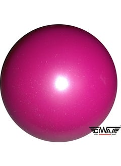 Ciwaa Rhythmic Gymnastics Ball 320 Gr Silvery CWA165 