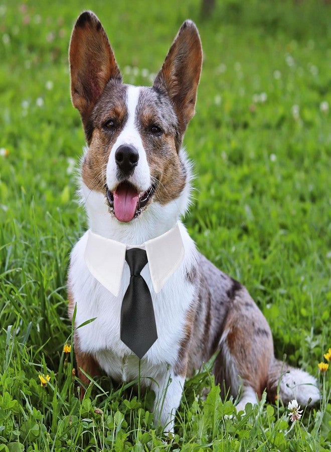 Koolmox Necktie, Formal Tie and Suit White Collar With Handcrafted Adjustable Closure Tape, Wedding Valentines Collars for Medium Large Male Boy Dogs, Black - Image 5