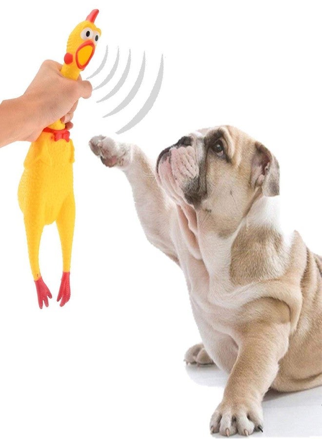 Pet Guard Jumbo Size Natural Rubber Squeaky Cum Chew Chicken Toy for Dog/Cat/Kitten