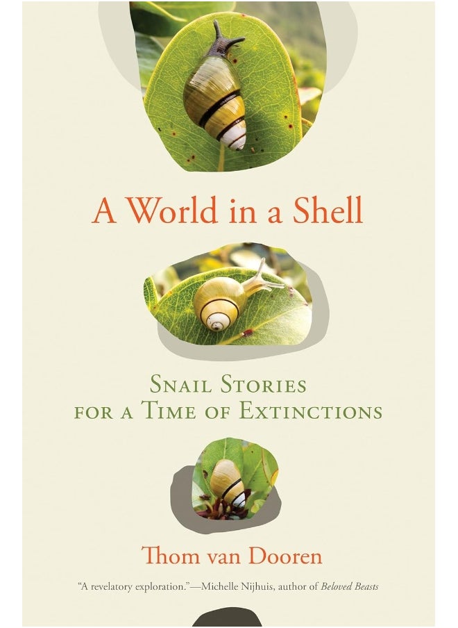 A World in a Shell: Snail Stories for a Time of Extinctions - pzsku/ZB0E77409C5947D97E02DZ/45/_/1741344228/8e41db7f-6b46-4209-ab29-abf0a8f1a054