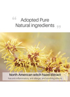 PANSLY Hair Growth Inhibitor, Hair Removal Spray Reducing And Inhibiting Hair Growth, Legs, Underarms,Lips 100% Natural Non-Irritating 20g  - Image 3