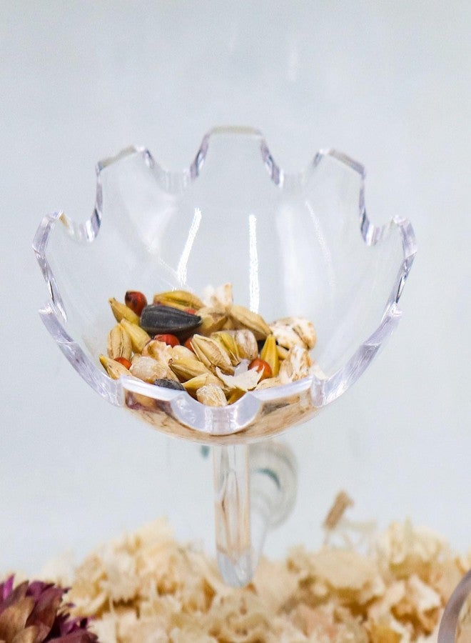 Oooct Hamsters Feeder, Transparent Acrylic Feeder Tube and Feeding Dish Set with Suction Cup, Small Animals Food Gravity Auto Dispensers, Suitable for Hamster Rat Guinea Pig Bird Parrot Lizard Hedgehog - Image 4