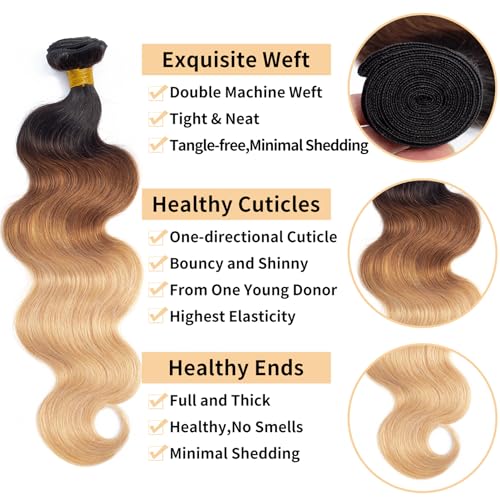 ROYAL IMPRESSION 12A Ombre Bundles with Closure Human Hair (20 22 24+16") Brazilian Ombre Body Wave Human Hair Weave Bundles with Closure 100% Unprocessed Virgin Body Wave 3 Bundles with Lace Closure - Image 2