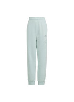 Adidas adidas Jg Glm Pant Green Training Pants 7-8Y  - Image 1