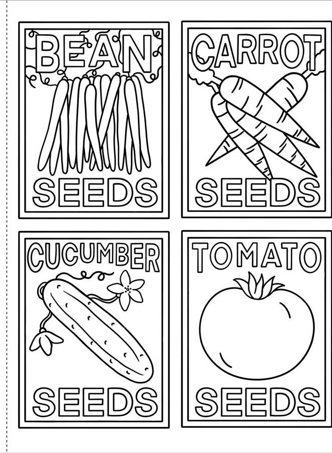 Peter Pauper Press My First Coloring Book! on the Farm - Image 5