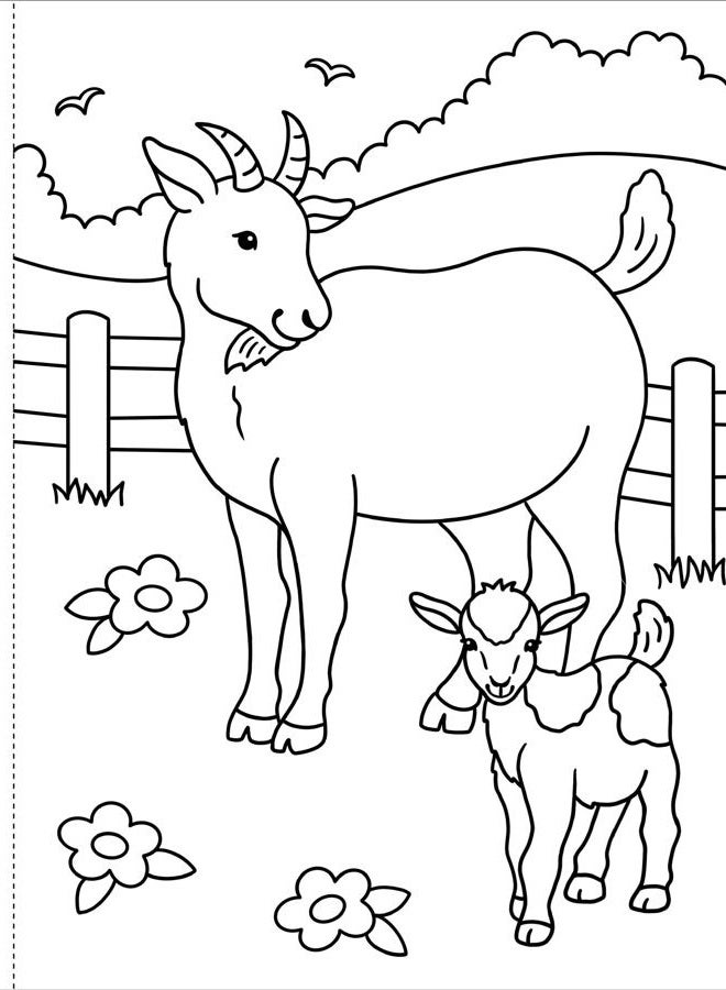 Peter Pauper Press My First Coloring Book! on the Farm - Image 4
