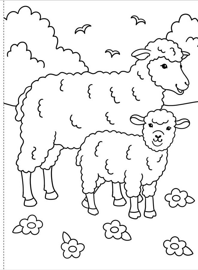 Peter Pauper Press My First Coloring Book! on the Farm - Image 2