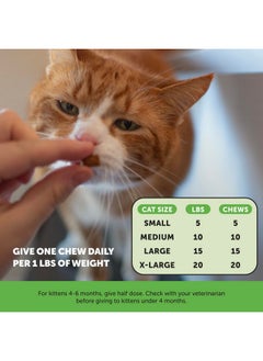 Pet Honesty Pet Honesty Cat Probiotics Gut + Immune Health Crunchy & Creamy Chews - Digestive Health, Supports Gut Health, Immunity Health, Healthy Digestion + Cat Constipation Relief - Chicken 30-Day Supply  - Image 5