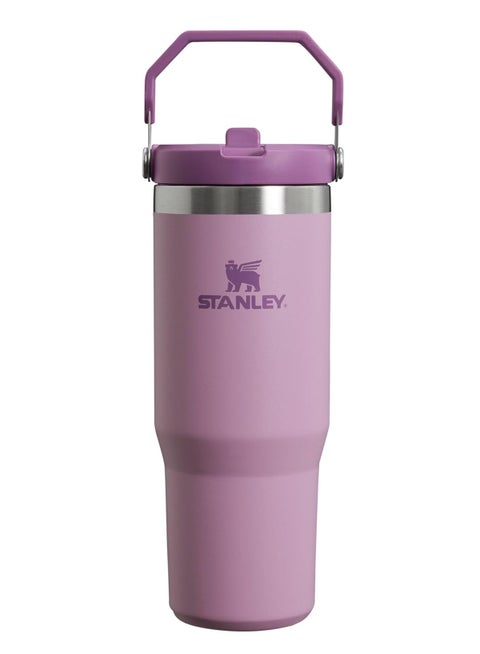 Stanley Stainless Steel Tumbler - Vacuum Insulated Water Bottle for Home, Office or Car Reusable Cup with Straw Leak Resistant Flip Cold for 12 Hours or Iced for 2 Days, 30oz