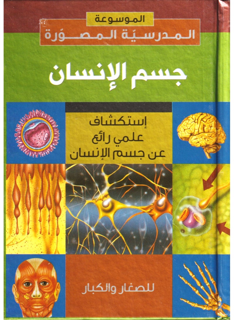 Human body illustrated school encyclopedia  - Image 1