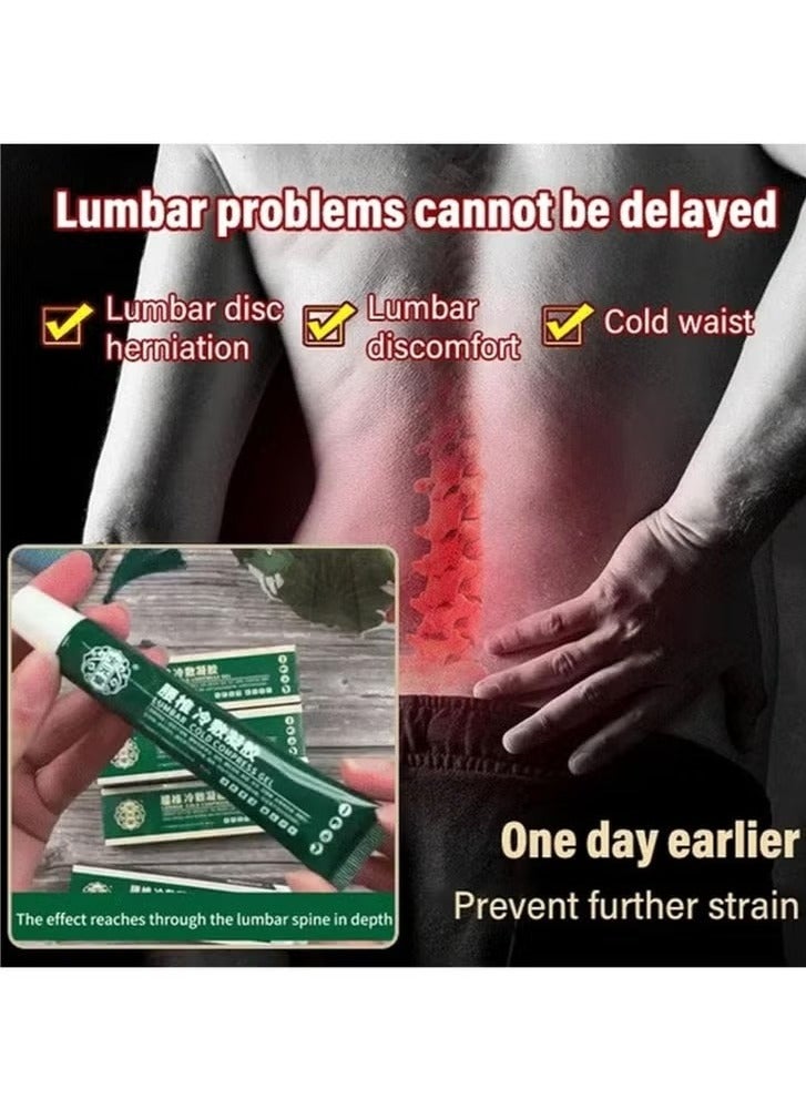 APDMP 2 Packs of Lumbar Cold Compress Gel, Relieve Joint Pain, Cervical and Lumbar Disc, Knee Pain Relief, Natural Herbal Extract Joint Pain Relief Gel 40g - Image 3
