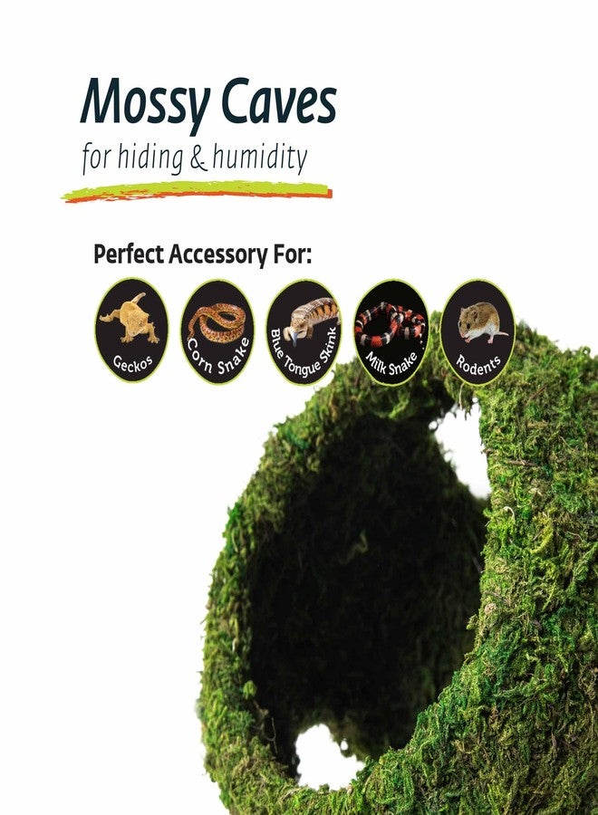 Galapagos Galápagos (05344) Mossy Cave with Holes | Natural Reptile Hide for Bearded Dragons, Geckos, Snakes, Tortoises, Frogs, Hermit Crabs, and Lizards | Terrarium Decor, 7.5in Diameter - Image 3