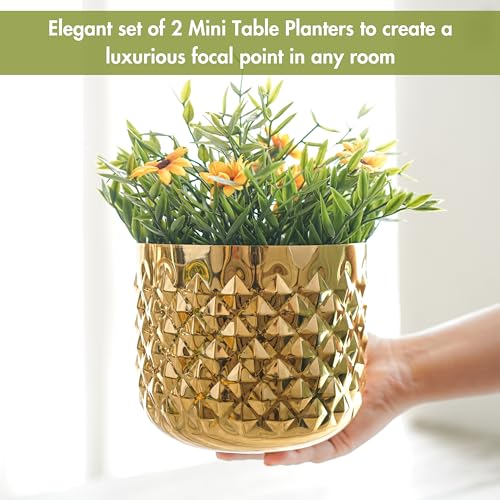 BEHOMA Metal Indoor Planter | Pineapple Texture Modern Plant Pot | Drawing Room Balcony Office Decor for Small Plants | Size Height- 5" x Dia. 6" inch | Golden Set of 2 (Plant not Included) - Image 2
