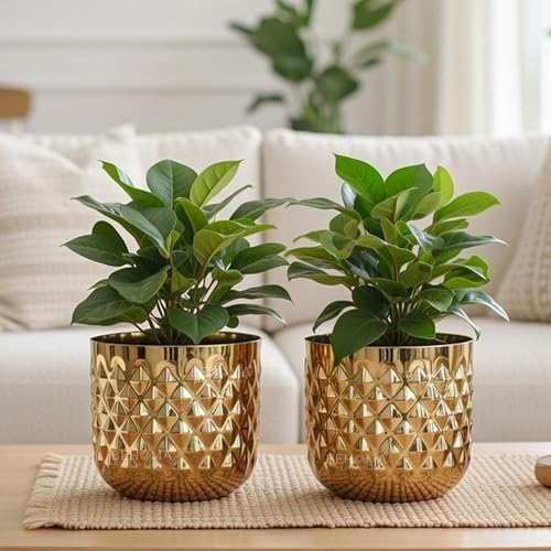 BEHOMA Metal Indoor Planter | Pineapple Texture Modern Plant Pot | Drawing Room Balcony Office Decor for Small Plants | Size Height- 5" x Dia. 6" inch | Golden Set of 2 (Plant not Included) - Image 1