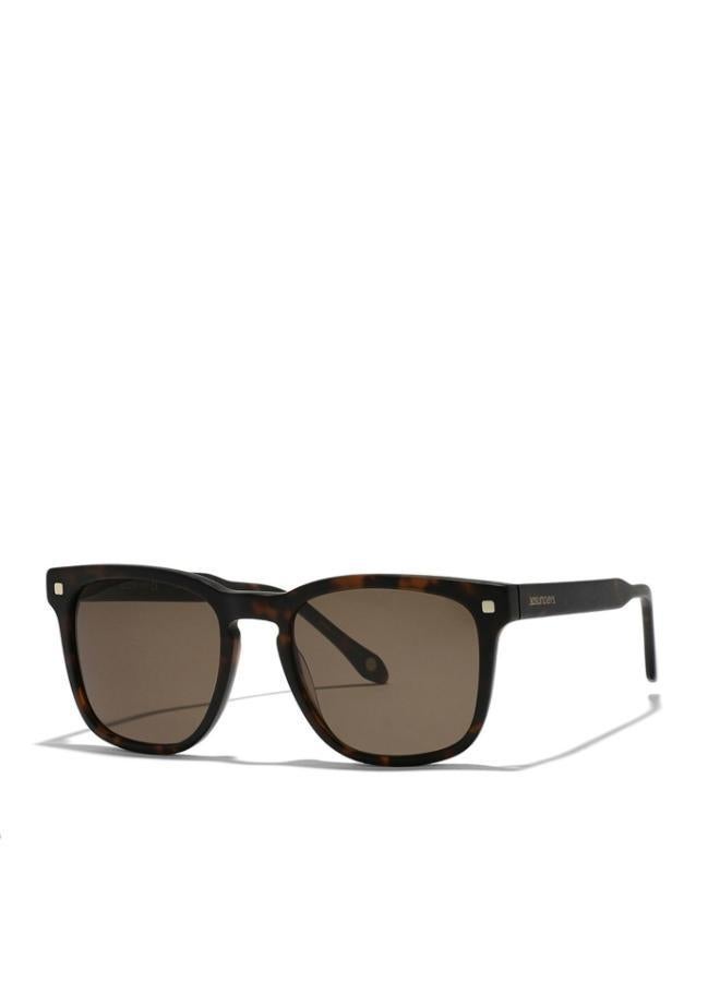 30 سندايز نظارات شمسية مايسترو للرجال، لون سلحفاةبني - Image 2