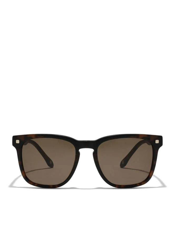 30Sundays 30Sundays MAESTRO Men's Sunglasses, Tortoise/Brown