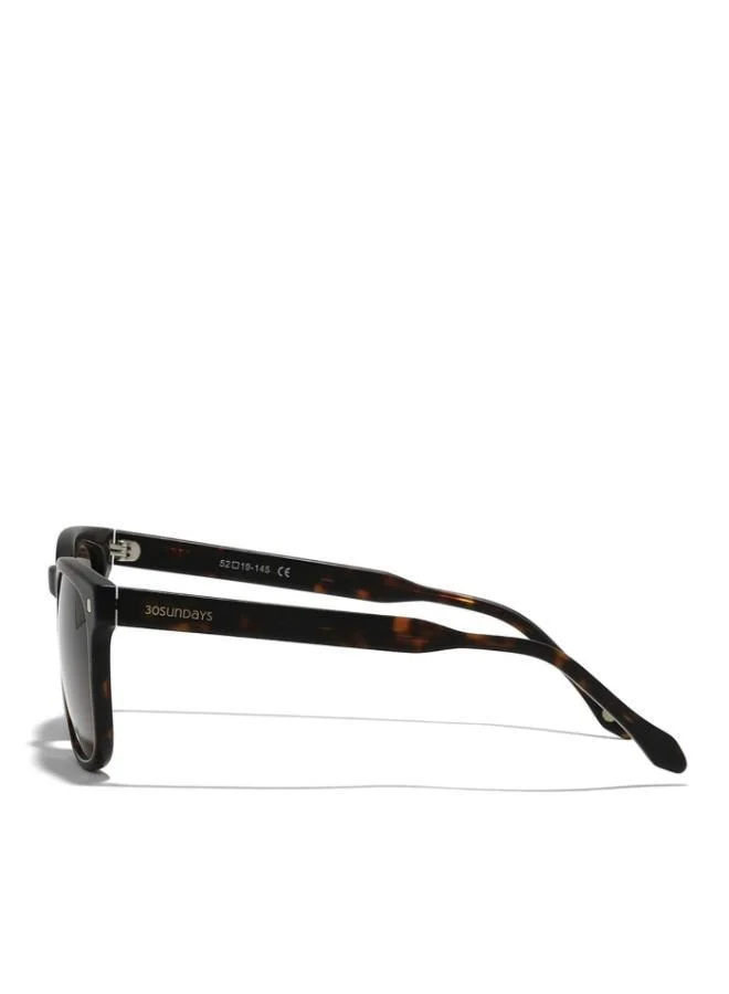 30Sundays 30Sundays MAESTRO Men's Sunglasses, Tortoise/Brown