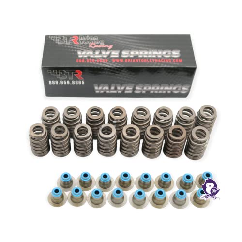 Dynosty BTR Brian Tooley Racing Truck Norris Cam Kit with Springs Seals and Install Kit incl pushrods for Gen 3 4 LS 4.8 5.3 5.7 6.0 6.2 LS1 Vortec - Image 3