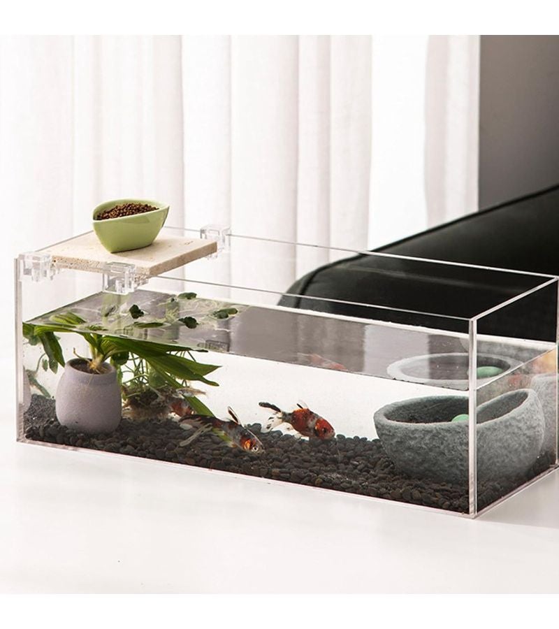 10pcs Clear Acrylic Aquarium Clips Lid Clamps Tube Holders For 5mm Thick Rimless Tanks Filter Pipe Hose Organizer Fish Tank Cover Accessories - Image 5