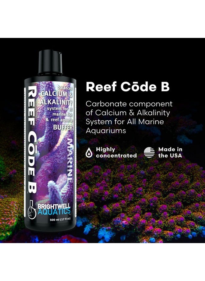 Brightwell Aquatics - Reef Code B  Balanced Calcium & Alkalinity System Water Conditioner  For All Saltwater Marine Fish & Reef Fish Tanks  Aquarium Water Treatments, 16.9 Fl Oz - Image 1