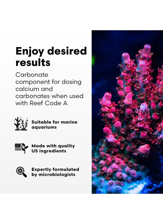 Brightwell Aquatics - Reef Code B  Balanced Calcium & Alkalinity System Water Conditioner  For All Saltwater Marine Fish & Reef Fish Tanks  Aquarium Water Treatments, 16.9 Fl Oz - Image 1