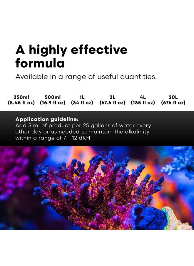 Brightwell Aquatics - Reef Code B  Balanced Calcium & Alkalinity System Water Conditioner  For All Saltwater Marine Fish & Reef Fish Tanks  Aquarium Water Treatments, 16.9 Fl Oz - Image 1