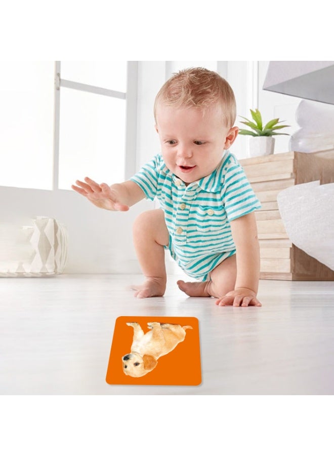 Arabic language learning flashcards, suitable for preschool children and early childhood education toys. - Image 4