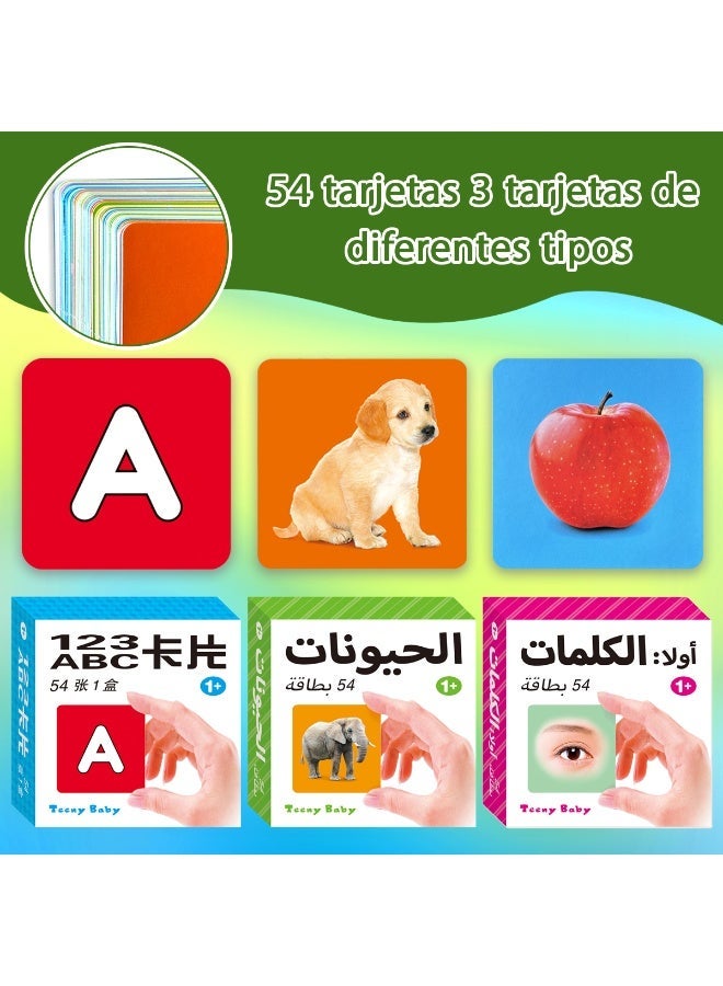 Arabic language learning flashcards, suitable for preschool children and early childhood education toys. - Image 2