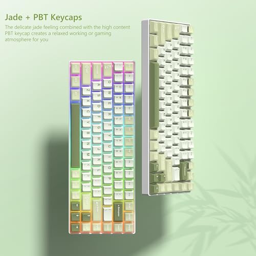 Womier Matcha Green Keycaps PBT, Jelly Keycaps 60 75 100 Percent, Translucent Jade Key caps Custom 127 Keys, Cherry Profile for 61/68/84/87/98/100 Cherry Gateron MX Mechanical Gaming Keyboards - Image 2