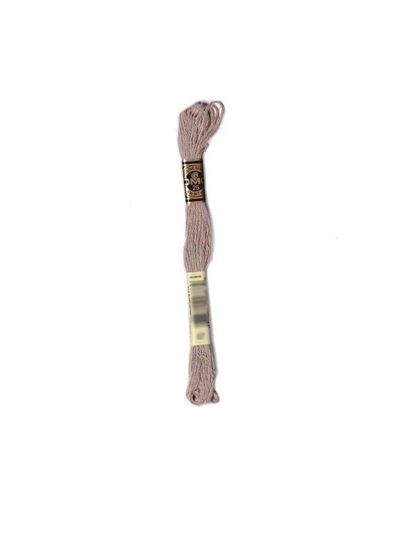 DMC DMC 6-Strand Embroidery Cotton 8.7 yard Dark Driftwood  - Image 2