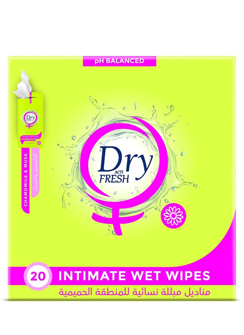Dry Post - Dry Fresh Feminine Intimate Wipes, MUSK, 20 Single Wipes - Image 1
