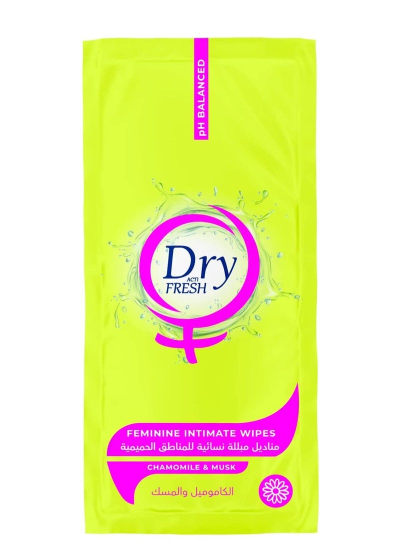 Dry Post - Dry Fresh Feminine Intimate Wipes, MUSK, 20 Single Wipes - Image 1