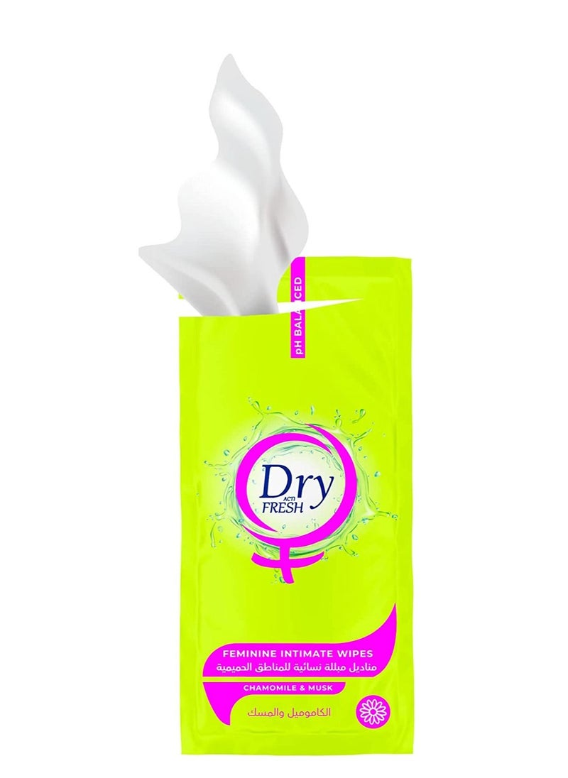 Dry Post - Dry Fresh Feminine Intimate Wipes, MUSK, 20 Single Wipes - Image 1