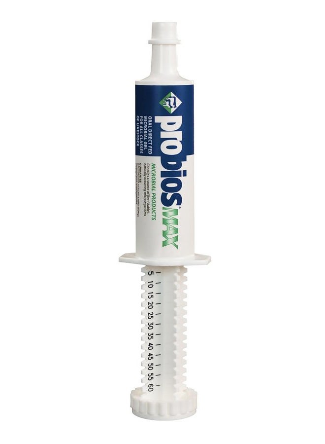 Max Oral Gel Tube, 60cc