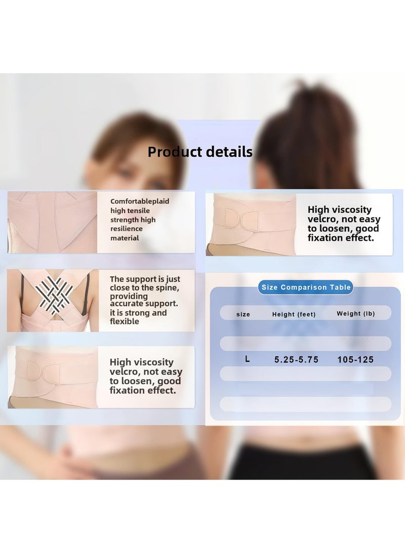 Posture Corrector and Back Brace for Women Men Adjustable Back Straightener Pink L Corrector Support  Posture Trainer - Image 5