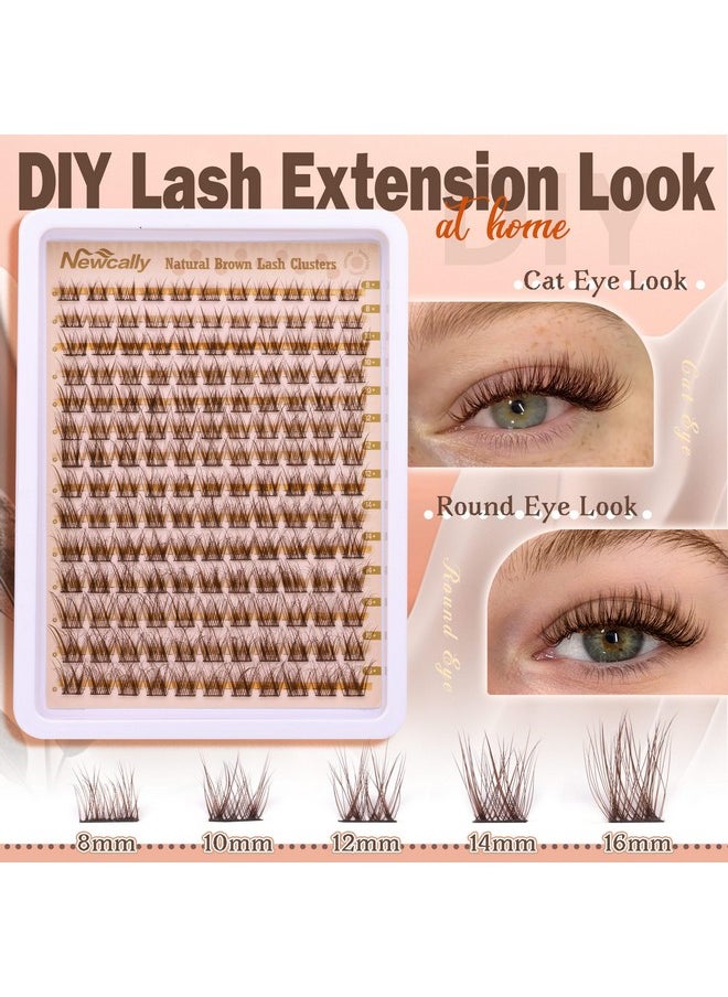 Newcally - Brown Lash Clusters Natural Wispy Eyelash Clusters DIY Lash Extension C Curl Brown Eyelash Cluster Individuals Faux Mink Lashes Eyelash Extension by Newcally - Image 1