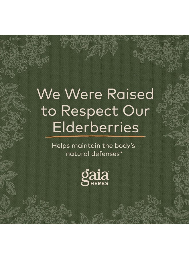 Gaia Herbs - Gaiakids Black Elderberry Syrup - Image 1