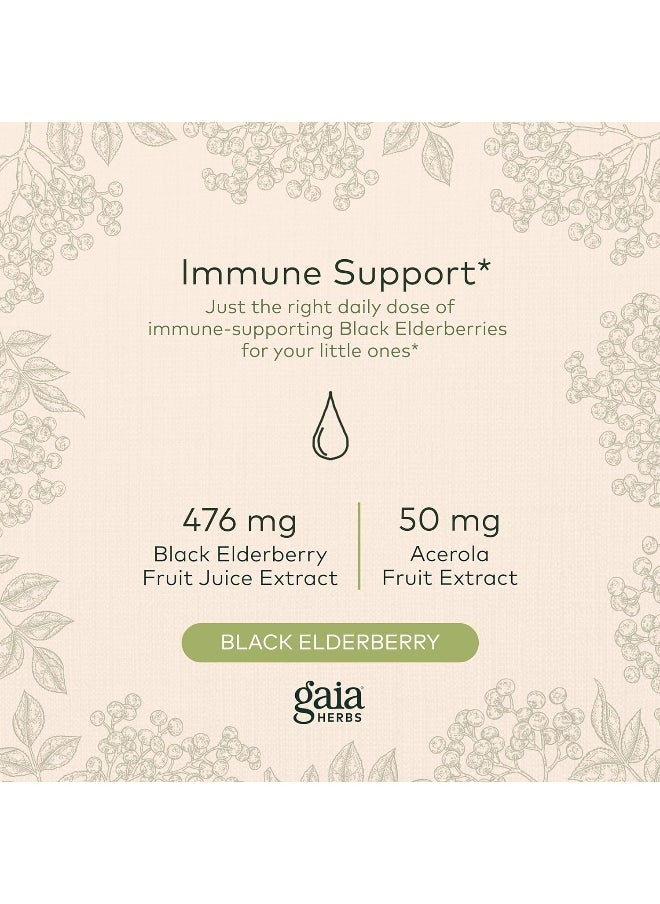 Gaia Herbs - Gaiakids Black Elderberry Syrup - Image 1