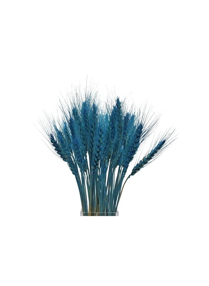 Generic Dry Wheat Grass Bouquet Natural Dried Flowers (INILE Blue 50)  - Image 2