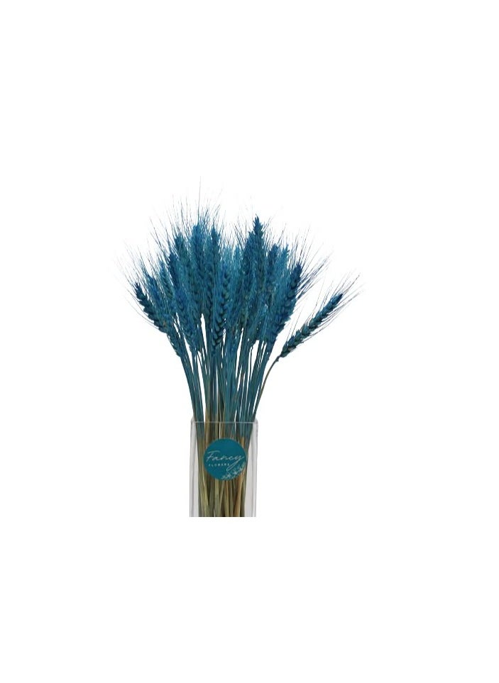Generic Dry Wheat Grass Bouquet Natural Dried Flowers (INILE Blue 50)  - Image 3