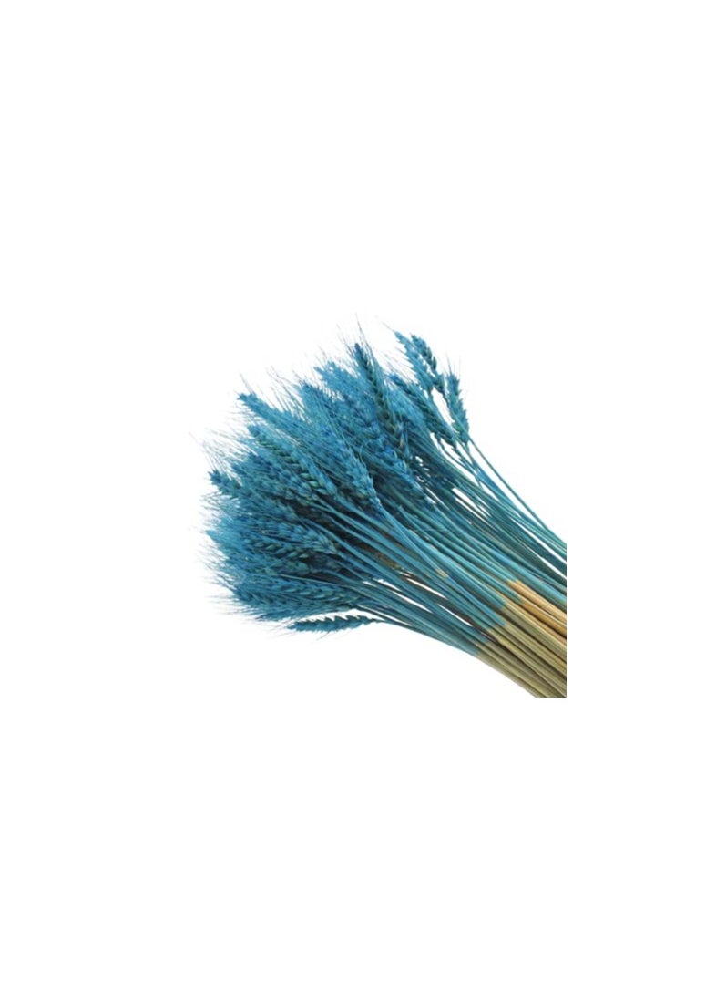 Generic Dry Wheat Grass Bouquet Natural Dried Flowers (INILE Blue 50)  - Image 4