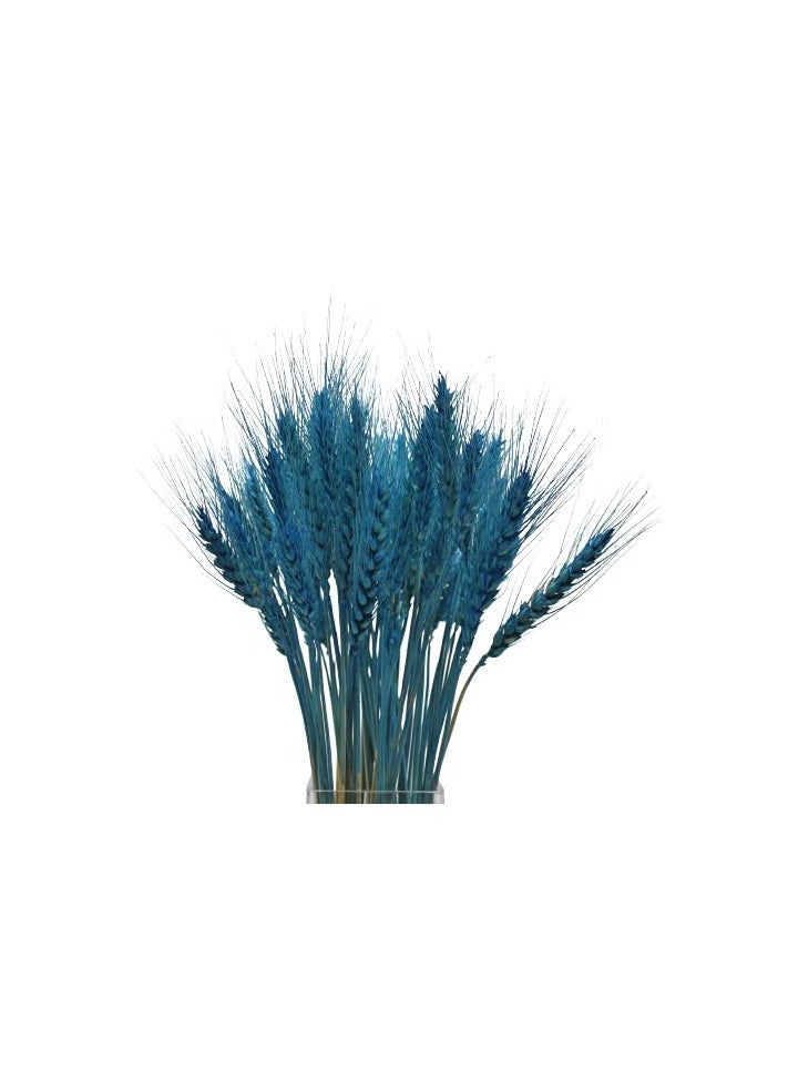 Generic Dry Wheat Grass Bouquet Natural Dried Flowers (INILE Blue 50)  - Image 5